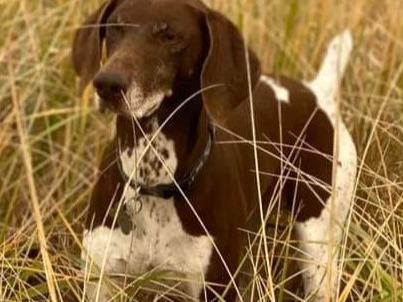 Rob Poppleton, Maintenance Assistant, City of Clark Fork